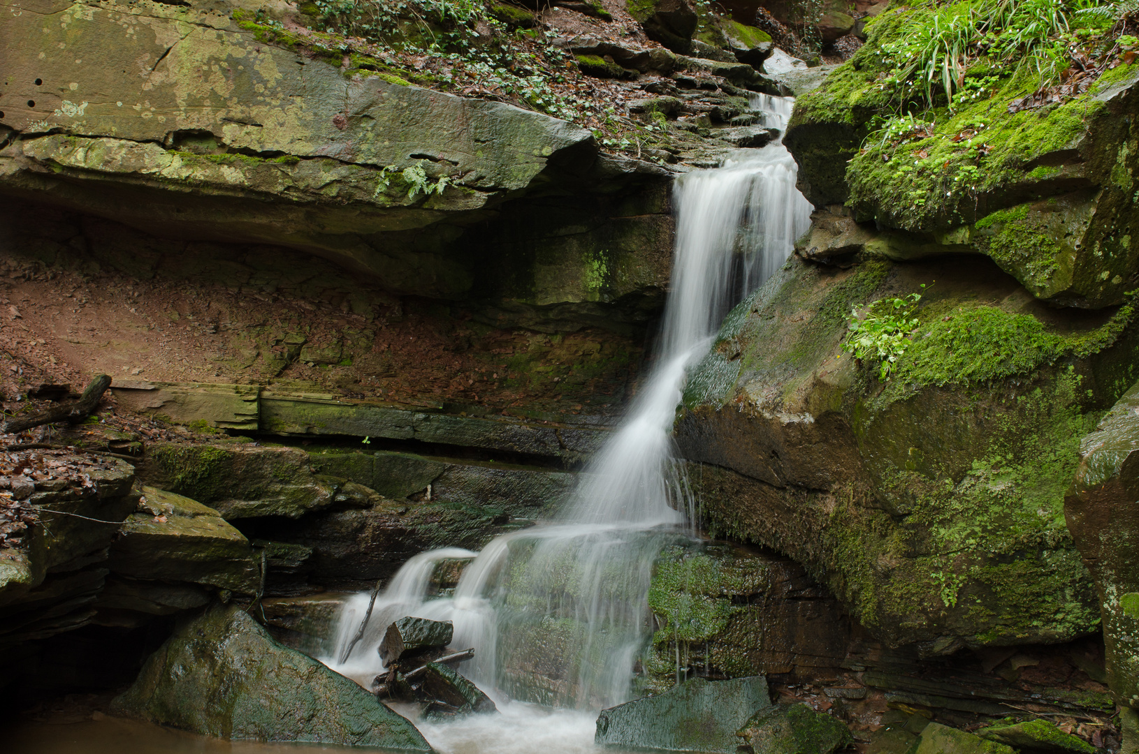 Margarethenschlucht_Odenwald- Nr.12