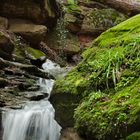 Margarethenschlucht_Odenwald- Nr.13