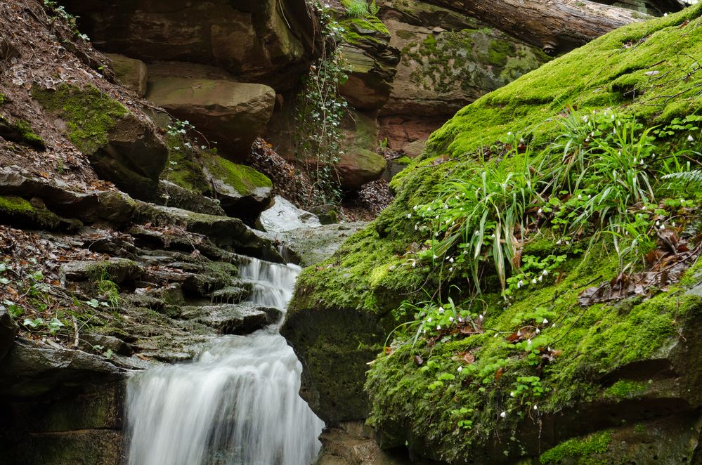 Margarethenschlucht_Odenwald- Nr.13