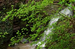 Margarethenschlucht_Odenwald- Nr.3