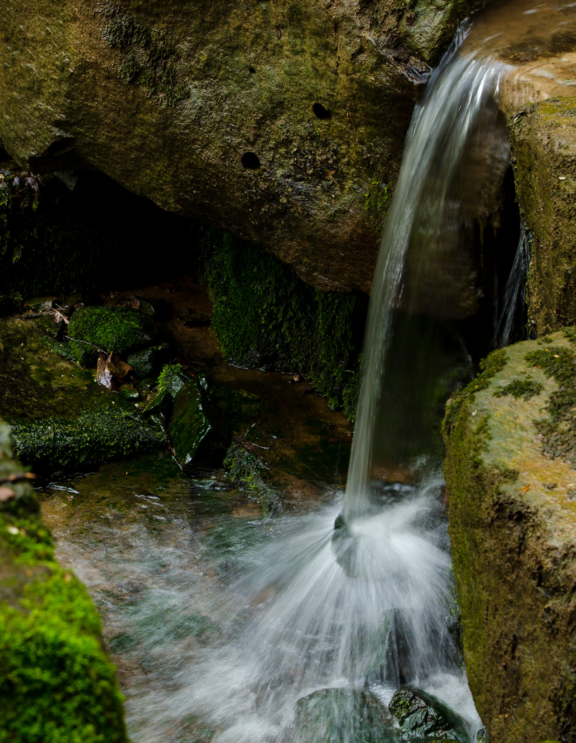 Margarethenschlucht_Odenwald- Nr.4