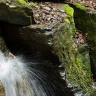 Margarethenschlucht_Odenwald- Nr.7