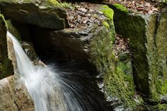 Margarethenschlucht_Odenwald- Nr.7