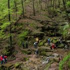 Margarethenschlucht_Odenwald- Nr.8