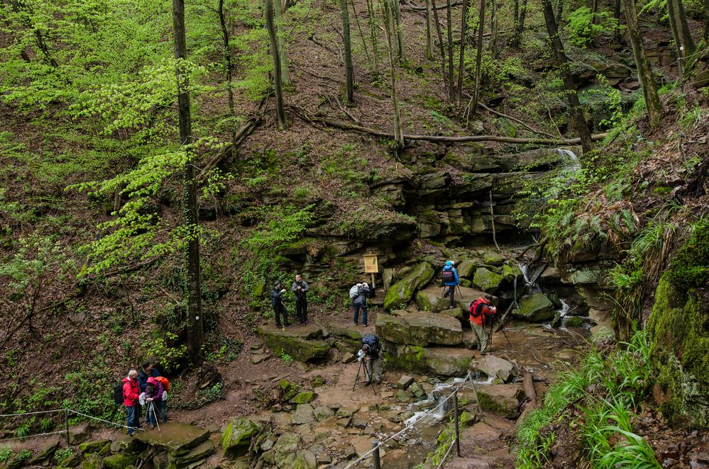 Margarethenschlucht_Odenwald- Nr.8