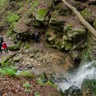 Margarethenschlucht_Odenwald- Nr.9