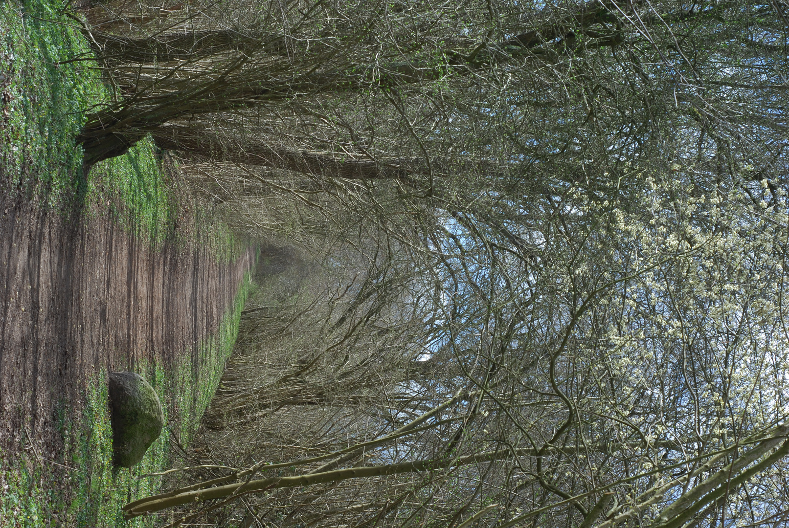 Margarethenwall in Schleswig im April 2025