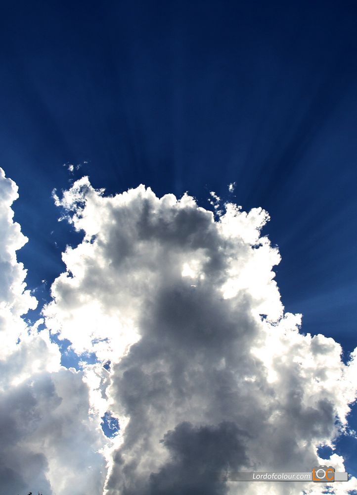 Margarethes Wolken Coverbild zum gleichnamigen Buch...