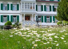 Margeritenwiese im Altersheim und Pflegeheim Blumenau