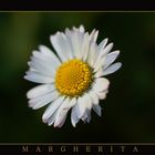 MARGHERITA