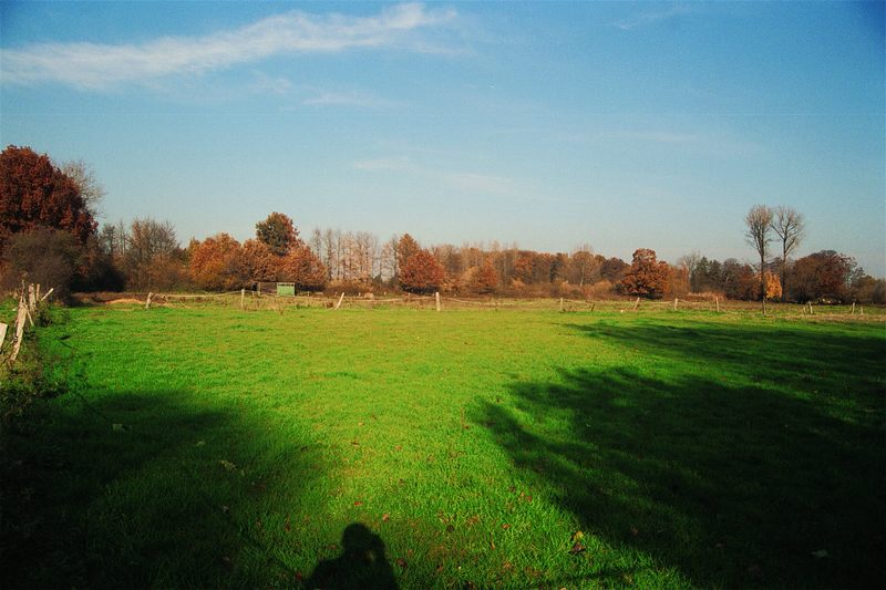 marginales Selbstportrait einer dunklen Gestalt im Herbst