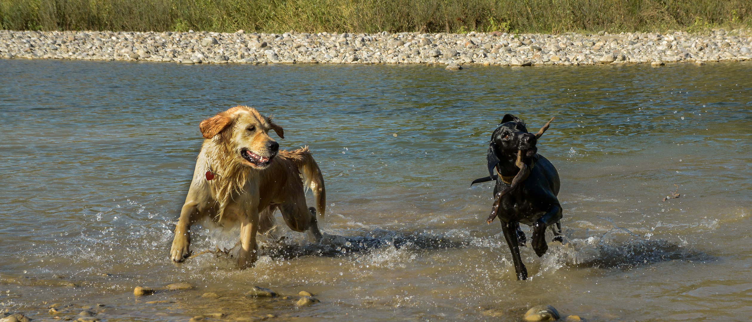 Margot und Hugo