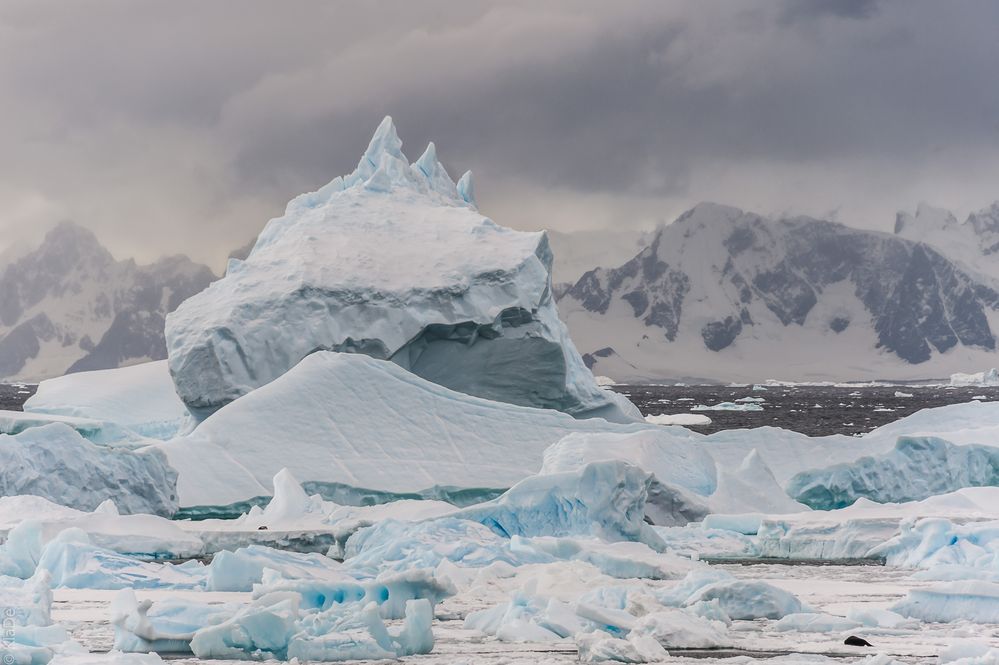 Marguerite Bay - Rothera - Eisberg-Chaos