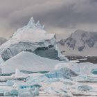 Marguerite Bay - Rothera - Eisberg-Chaos