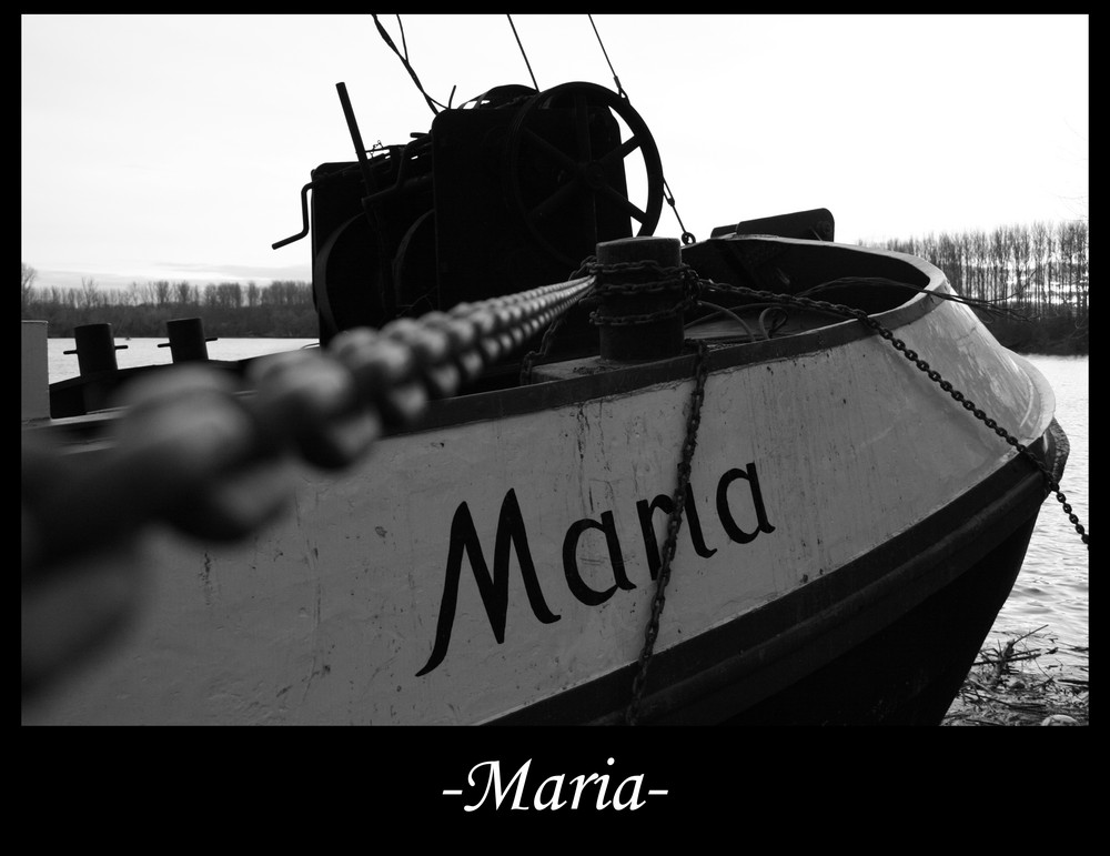 -Maria-