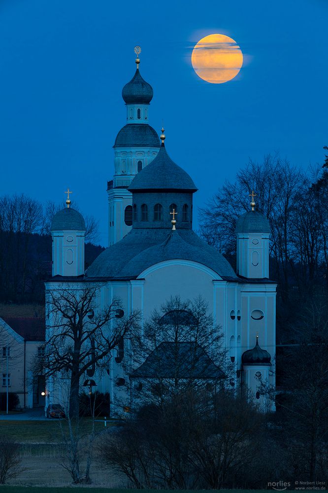 Maria Birnbaum with full moon