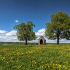 Maria im Felde mit Himmelfahrtsgelegenheit