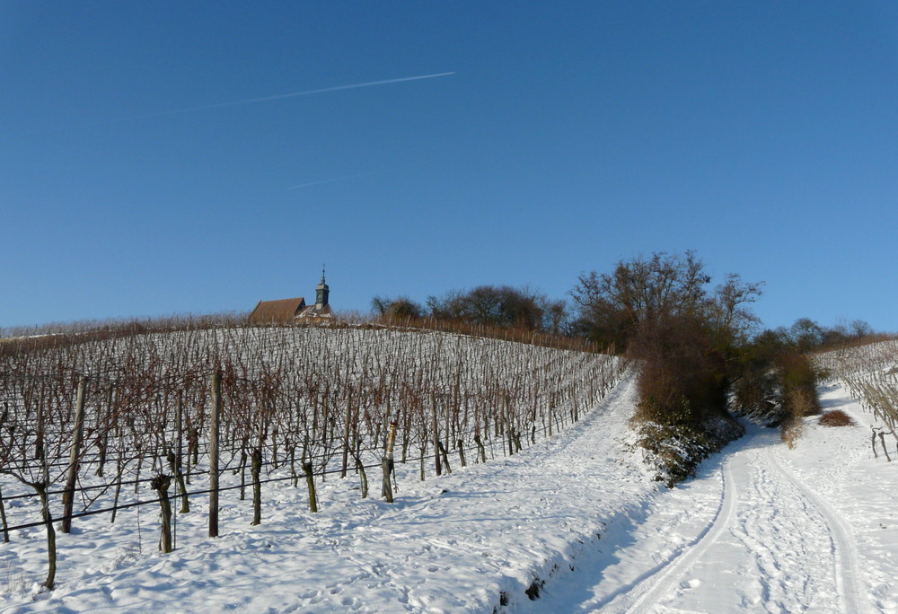 Maria im Weingarten