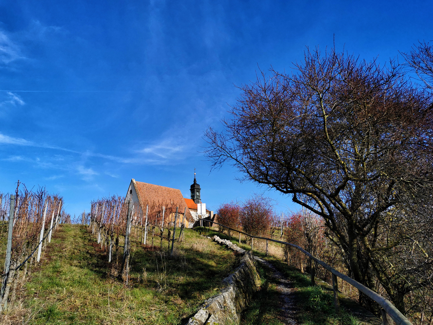 Maria im Weingarten