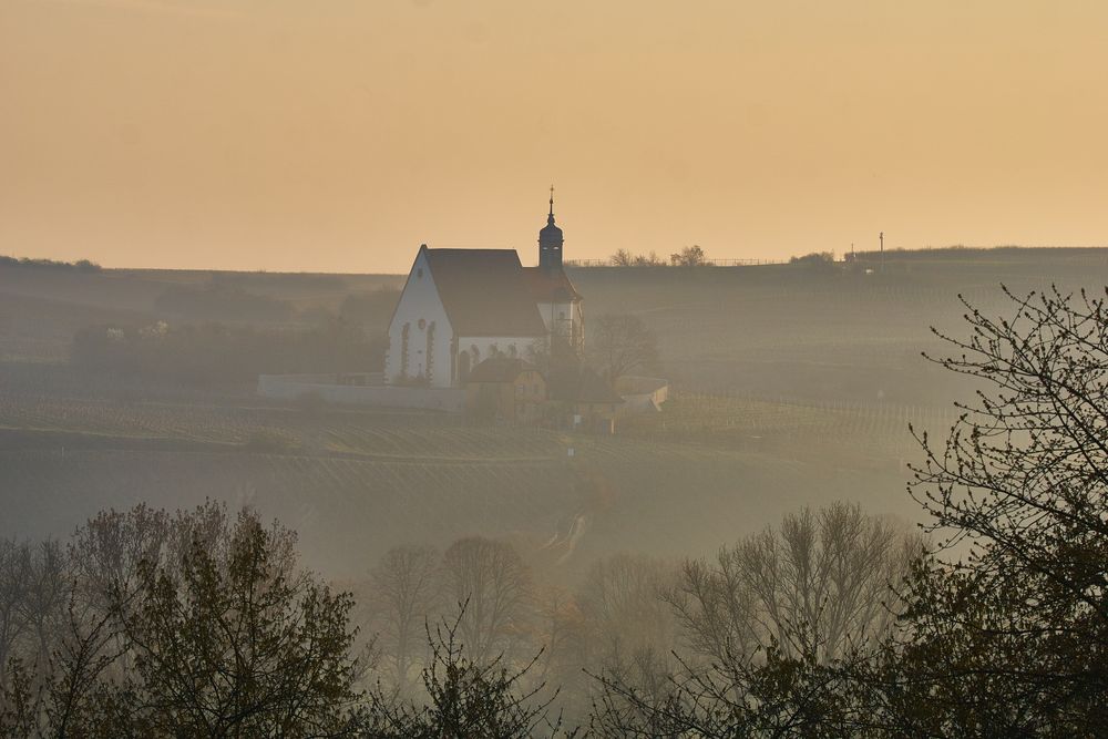 Maria im Weingarten im Abendlicht