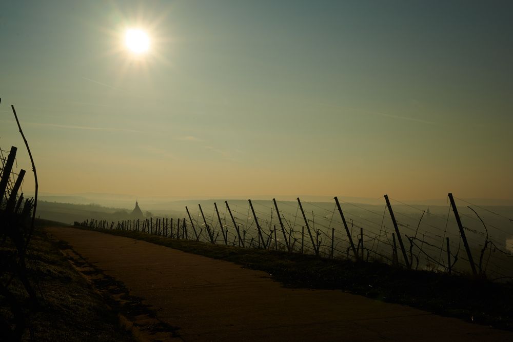 Maria im Weingarten im Morgenlicht