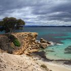 Maria Island