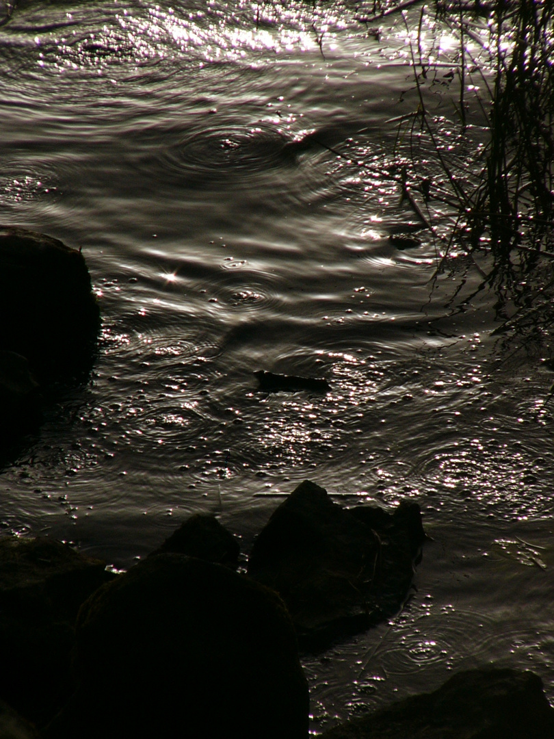 Maria Laach / Kohlendioxid-Bläschen im See