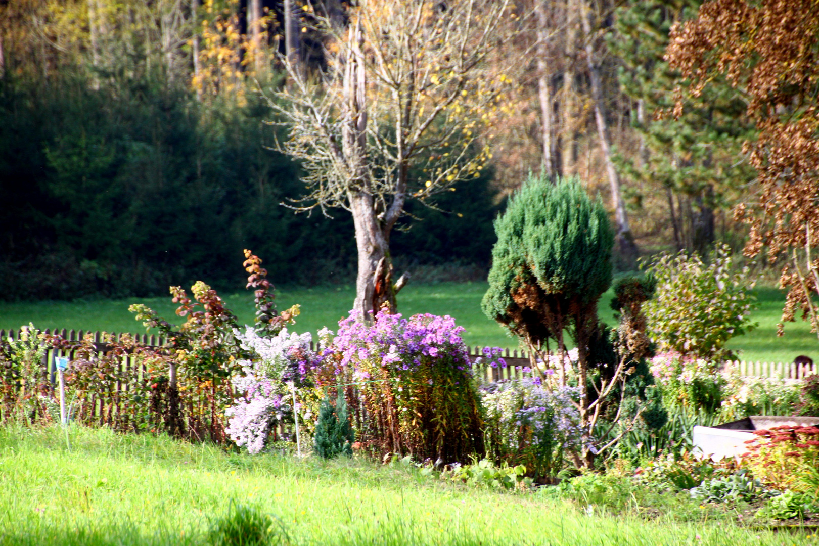 Mariabrunn im Herbst