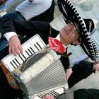 Mariachi accordionist