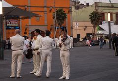 Mariachis