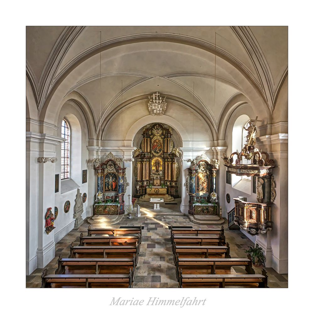 Mariae Himmelfahrt - Burghaun " Blick, von der Orgelempore zum Chor... "