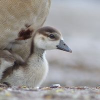 Mariam_naturfotografie