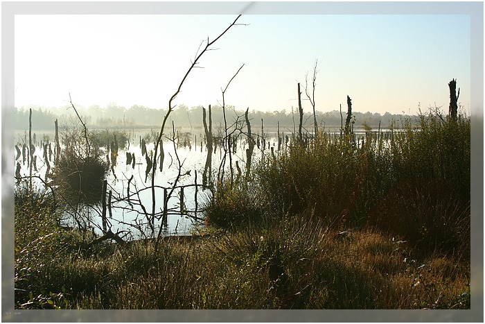 Mariapeel 2. Bild, Niederlande