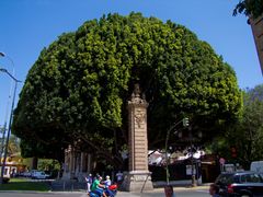 Marie - Luisen - Park in Sevilla