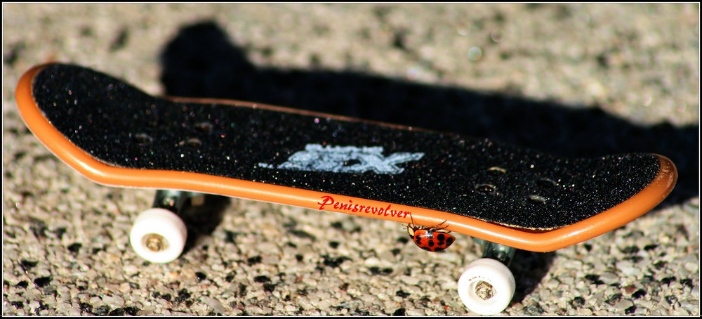 Marie N. Käfer Skateboard-Profi der deutschen Frauen seit 1999