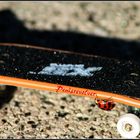 Marie N. Käfer Skateboard-Profi der deutschen Frauen seit 1999