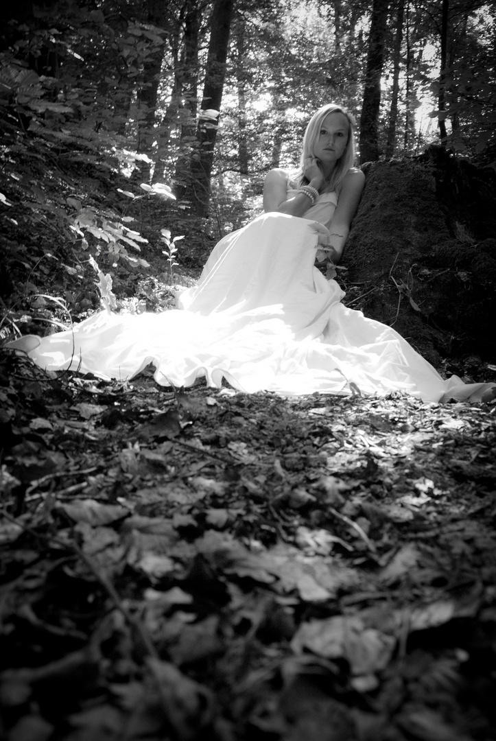Mariée dans les bois