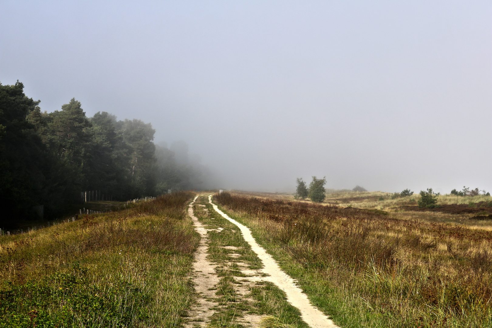 Marielyst - Im Nebel - (1)