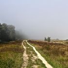 Marielyst - Im Nebel - (1)