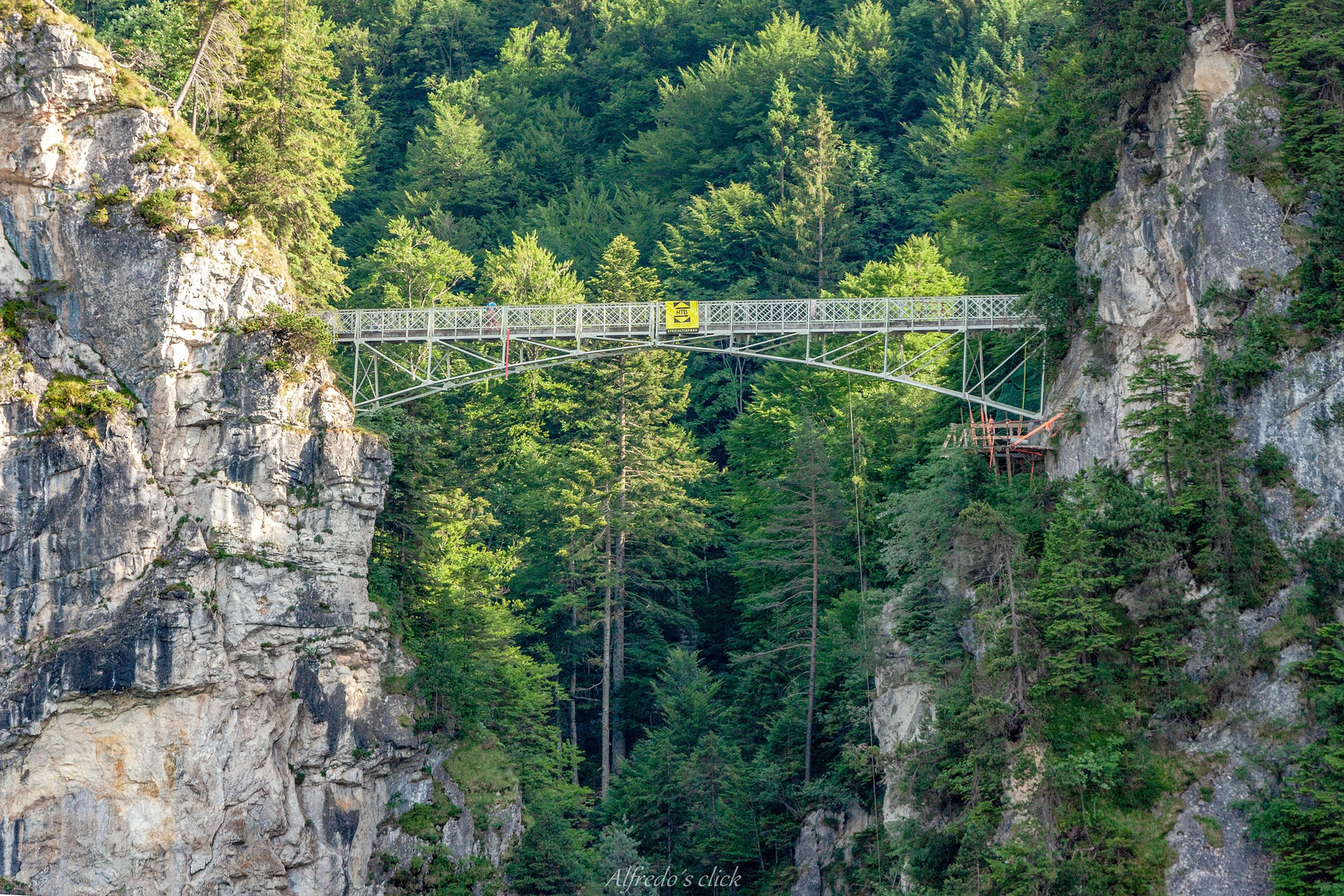  Marienbrücke im Fokus*