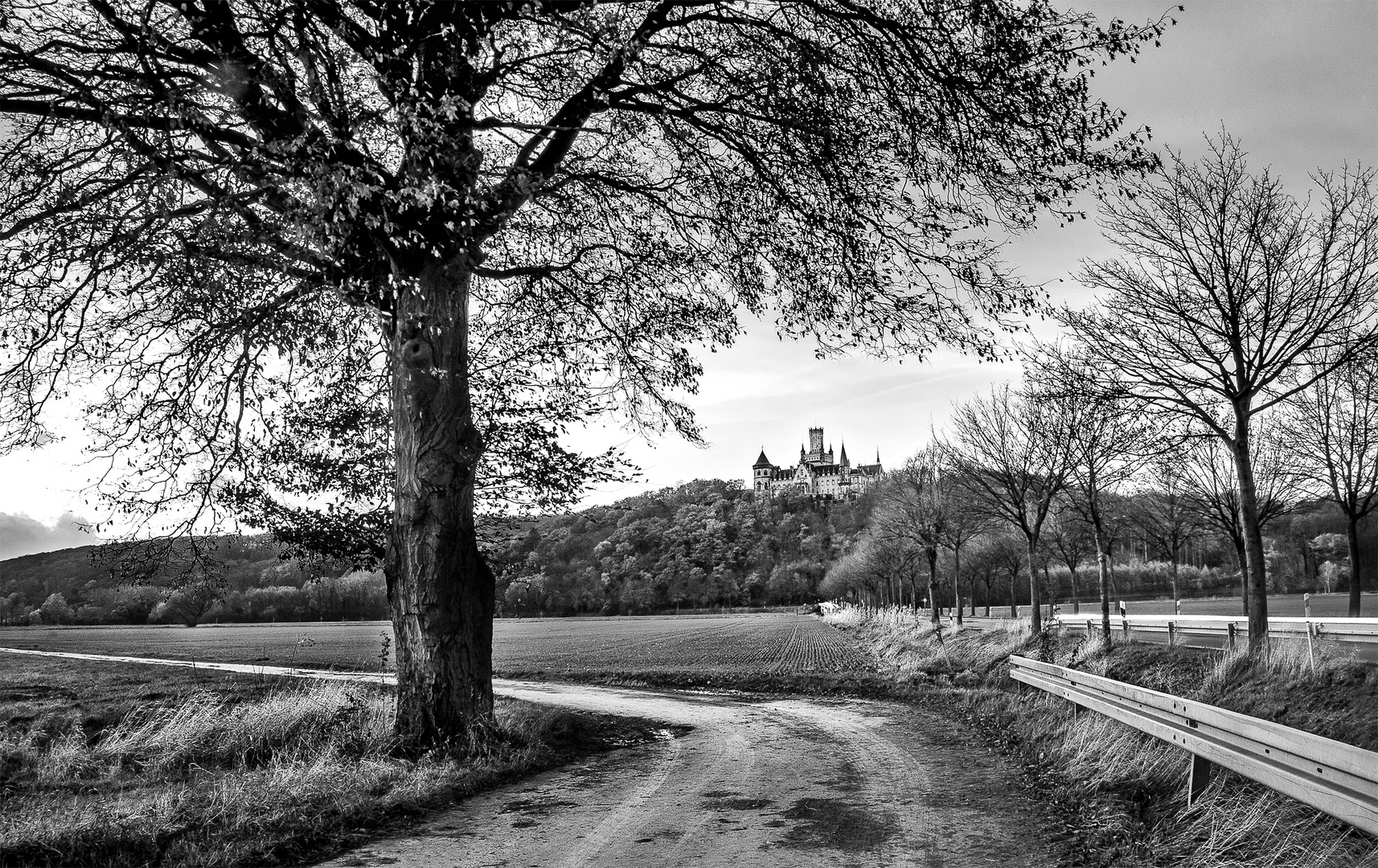 Marienburg Castle #005