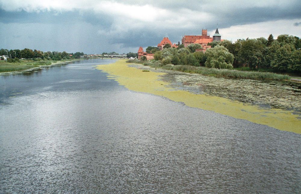 Marienburg: Die Nogat