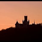 Marienburg im Abendlicht