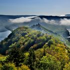 Marienburg im Morgennebel