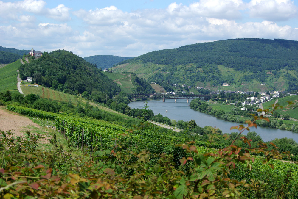 Marienburg / Mosel