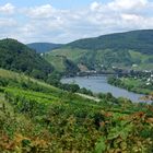 Marienburg / Mosel