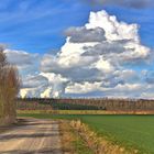 Marienfeld mit Wolkenmaschine