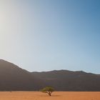 Marienflußtal, Kaokoveld, Namibia