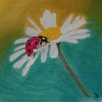 Marienkäfer aufm Gänseblümchen