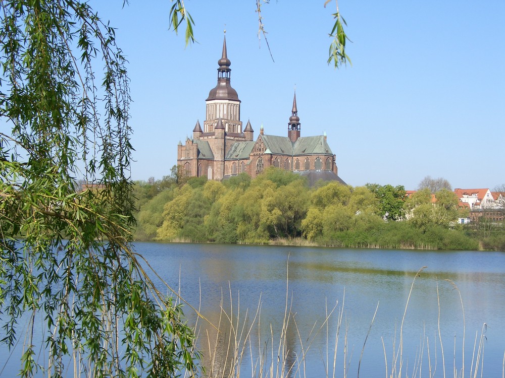 Marienkirche in Stralsund im Sommer